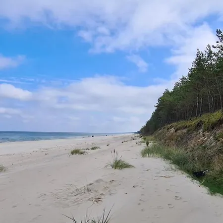 A Moze Morze? شتوتوفو