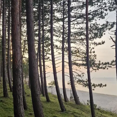 شقة A Moze Morze? *