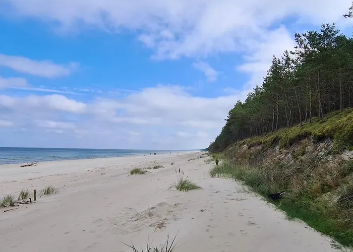 A Moze Morze? Sztutowo