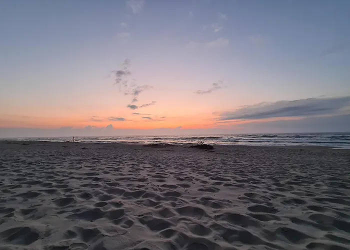 A Moze Morze? Sztutowo