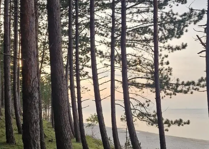 Apartman A Moze Morze? *